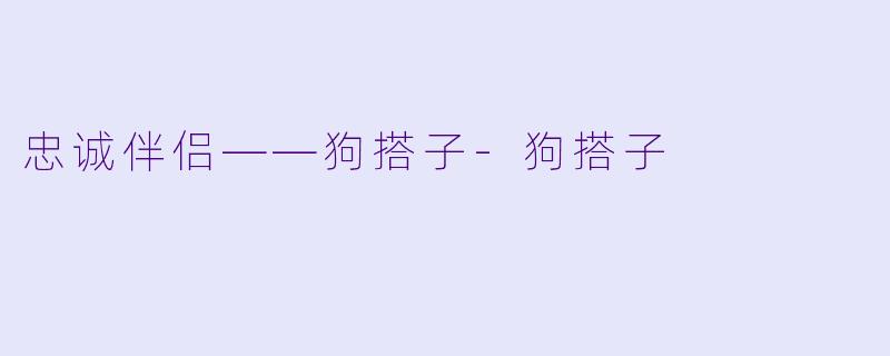 忠诚伴侣——狗搭子-狗搭子
