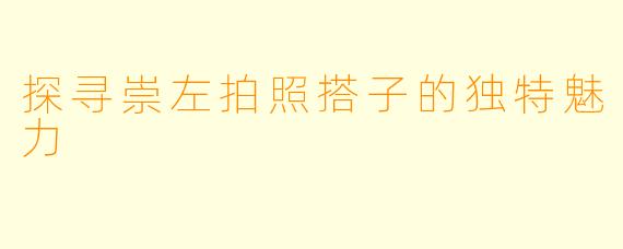 探寻崇左拍照搭子的独特魅力