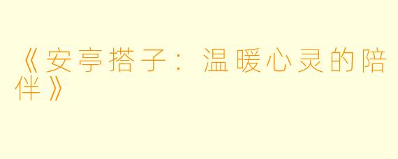 《安亭搭子：温暖心灵的陪伴》