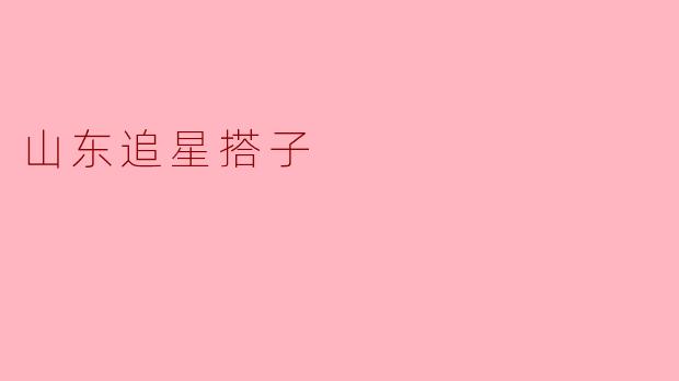 什么是山东追星搭子？