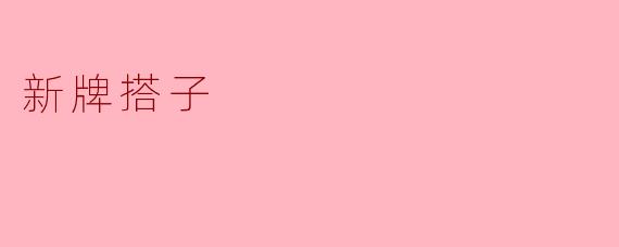 新牌搭子