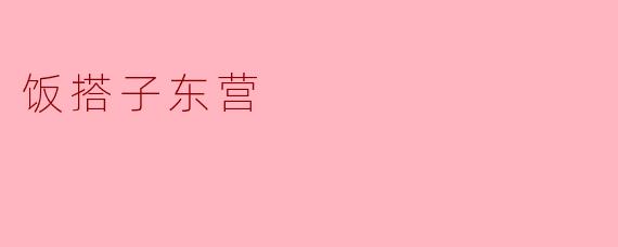 饭搭子东营的菜品有多样化吗？  