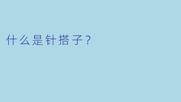 什么是针搭子？