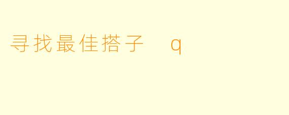 寻找最佳搭子 q