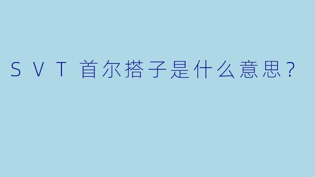 SVT首尔搭子是什么意思？