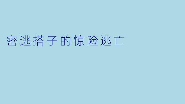 密逃搭子的惊险逃亡