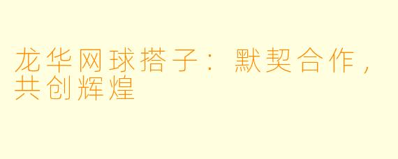 龙华网球搭子：默契合作，共创辉煌