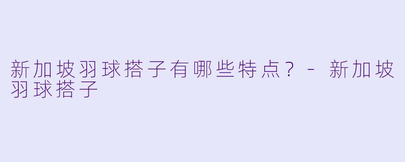 新加坡羽球搭子有哪些特点？