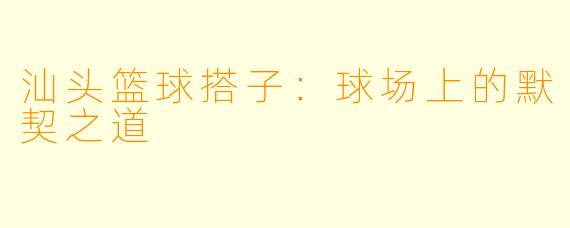 汕头篮球搭子：球场上的默契之道