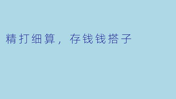 精打细算，存钱钱搭子