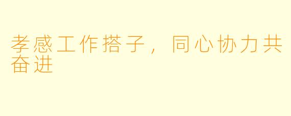 孝感工作搭子，同心协力共奋进