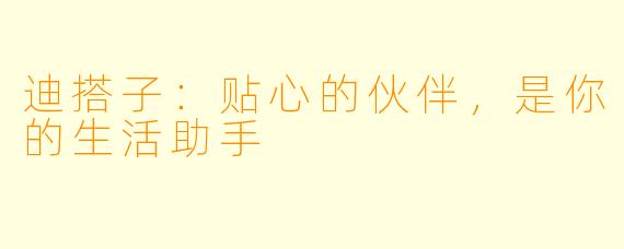 迪搭子：贴心的伙伴，是你的生活助手