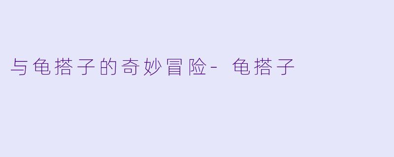 与龟搭子的奇妙冒险