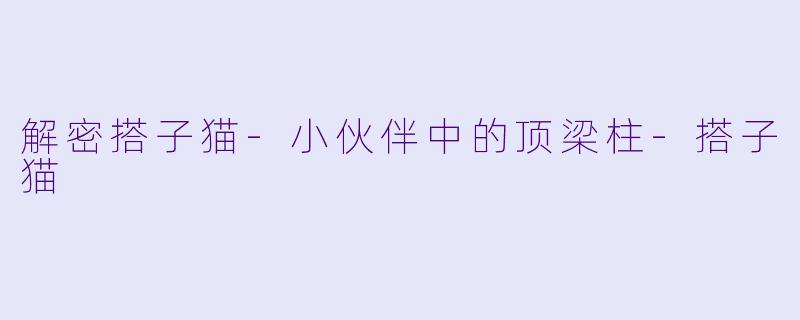 解密搭子猫-小伙伴中的顶梁柱-搭子猫