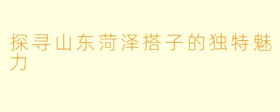 探寻山东菏泽搭子的独特魅力