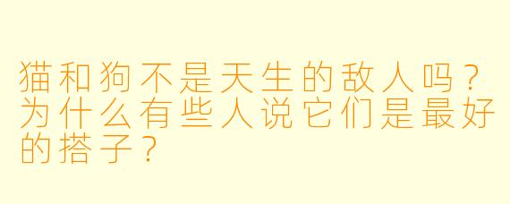 猫和狗不是天生的敌人吗？为什么有些人说它们是最好的搭子？