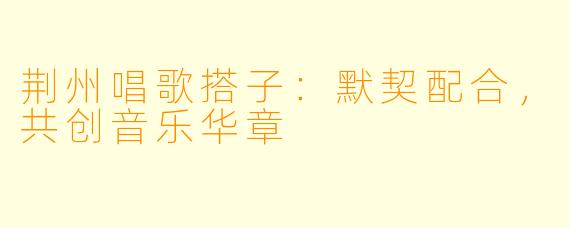 荆州唱歌搭子：默契配合，共创音乐华章