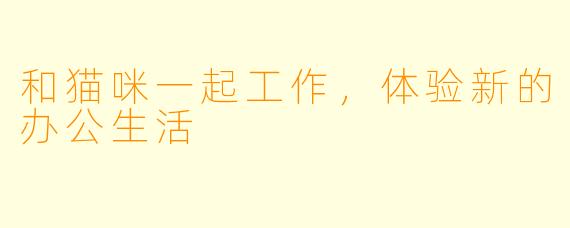 和猫咪一起工作,体验新的办公生活