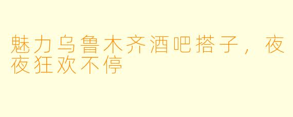 魅力乌鲁木齐酒吧搭子，夜夜狂欢不停