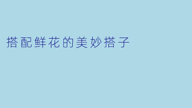 搭配鲜花的美妙搭子