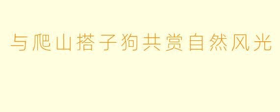 与爬山搭子狗共赏自然风光