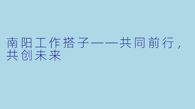 南阳工作搭子——共同前行，共创未来