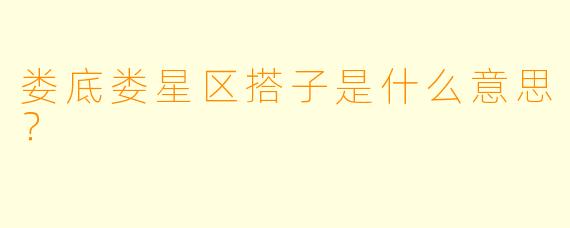 娄底娄星区搭子是什么意思？