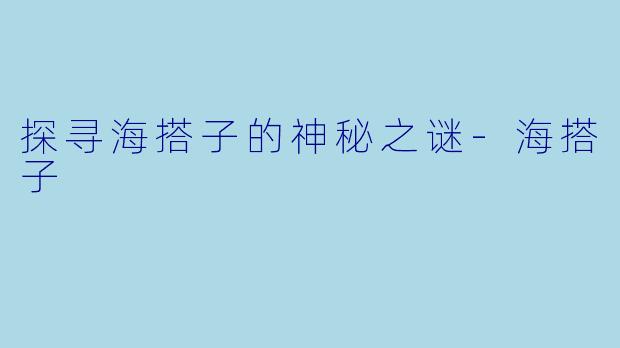 探寻海搭子的神秘之谜-海搭子