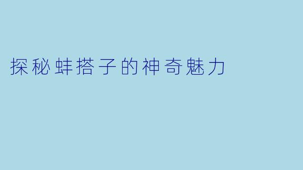 探秘蚌搭子的神奇魅力