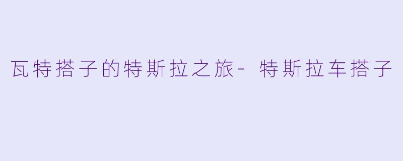 瓦特搭子的特斯拉之旅-特斯拉车搭子