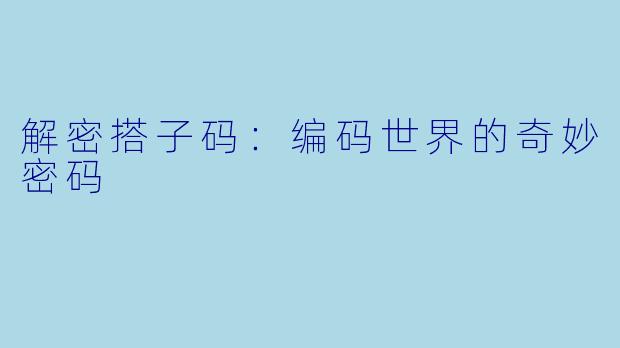 解密搭子码：编码世界的奇妙密码