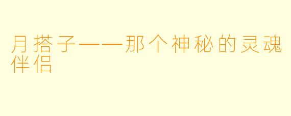 月搭子——那个神秘的灵魂伴侣