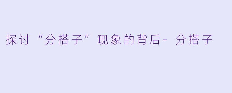 探讨“分搭子”现象的背后-分搭子