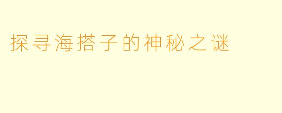 探寻海搭子的神秘之谜