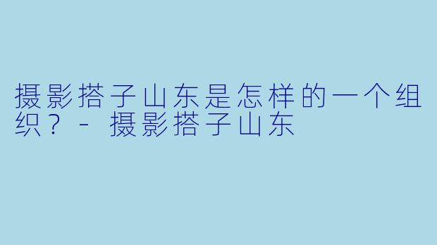 摄影搭子山东是怎样的一个组织？