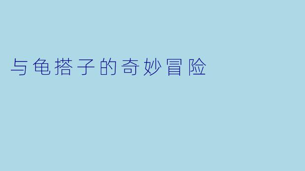 与龟搭子的奇妙冒险