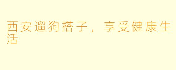 西安遛狗搭子，享受健康生活