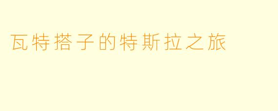 瓦特搭子的特斯拉之旅