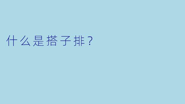 什么是搭子排？