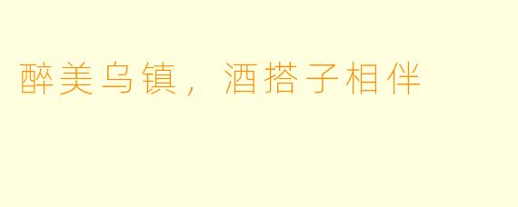 醉美乌镇，酒搭子相伴