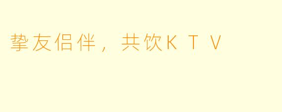 挚友侣伴，共饮KTV