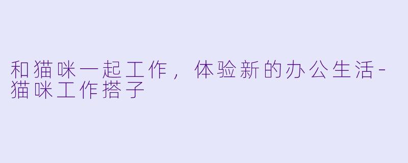 和猫咪一起工作，体验新的办公生活-猫咪工作搭子
