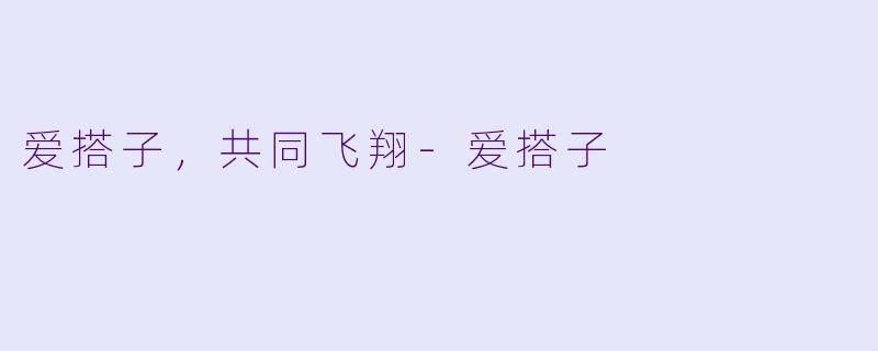 爱搭子,共同飞翔