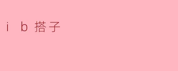 什么是ib搭子？