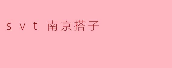 svt南京搭子