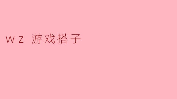什么是wz游戏搭子？