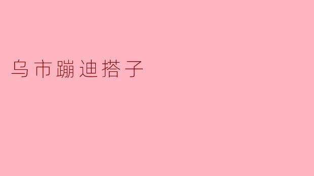 乌市热门蹦迪搭子,青春舞动夜色!