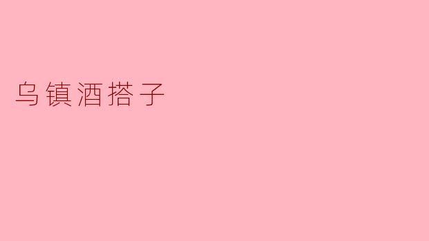 乌镇酒搭子