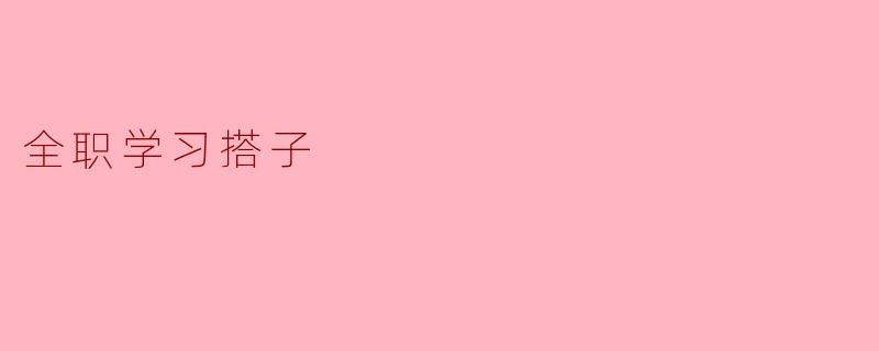 什么是全职学习搭子？