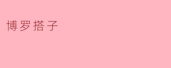博罗搭子是什么意思？